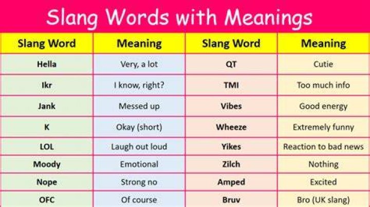 Is loo a slang word?